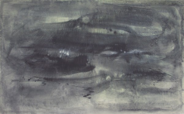 Tok krajin, 2008