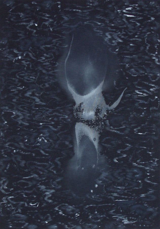 Objekt v krajině, 2011