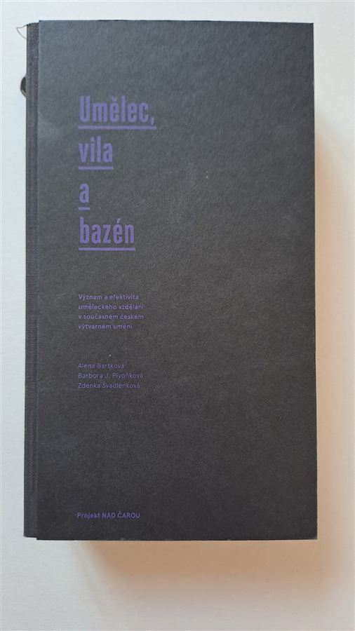 Umělec, vila a bazén