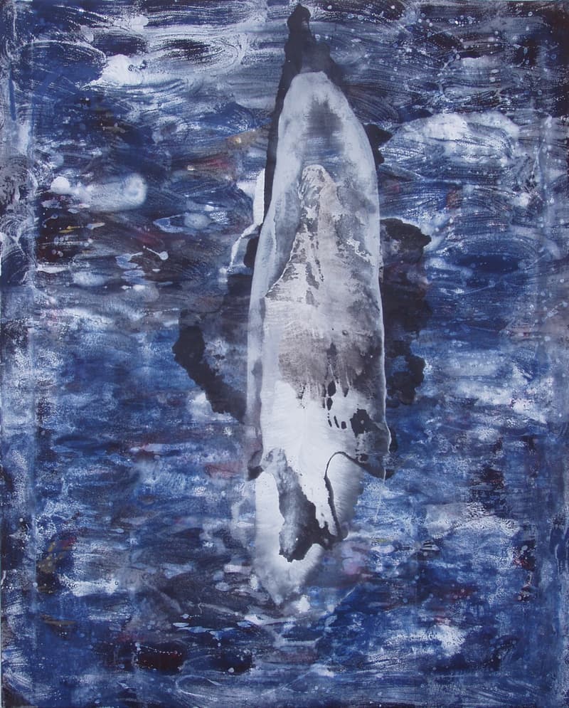 Silueta